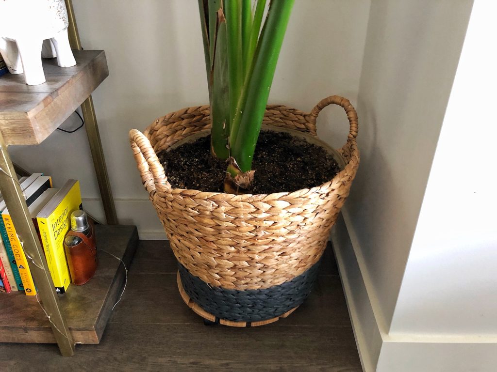 wicker basket planters