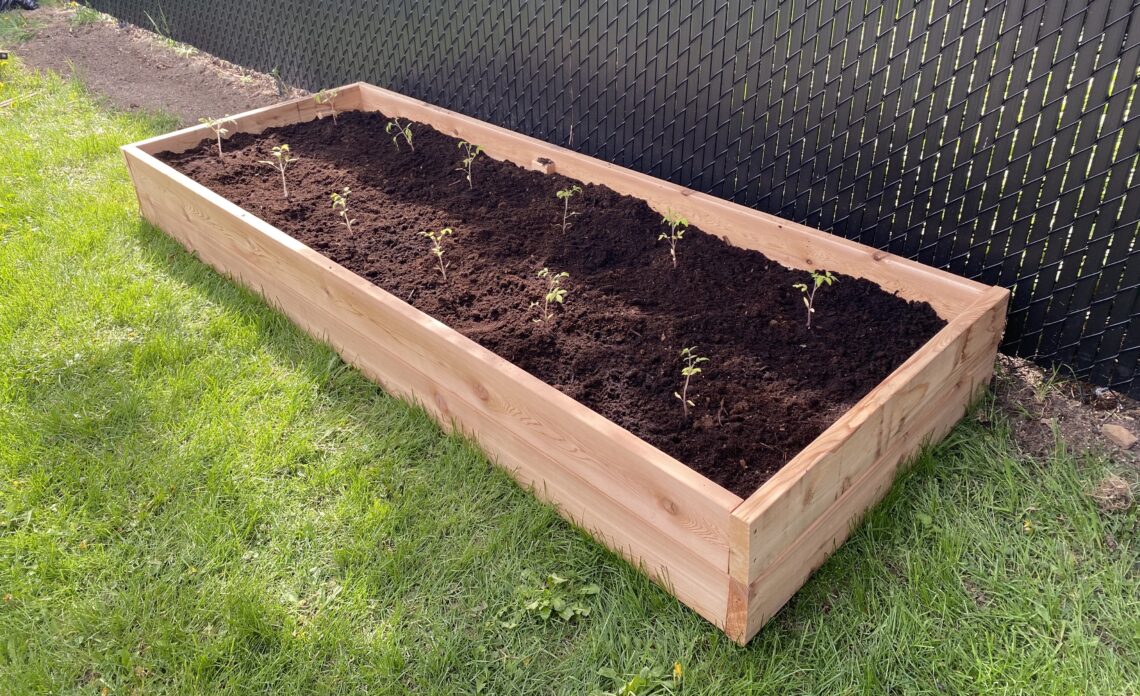 Easy raised garden bed for beginners DIY vegetable garden