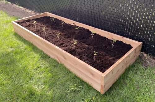 Easy raised garden bed for beginners DIY vegetable garden