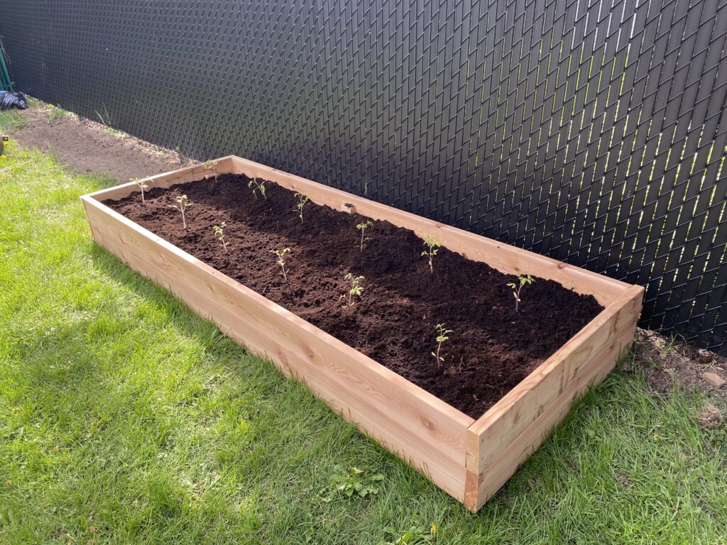 easy raised garden bed for beginners