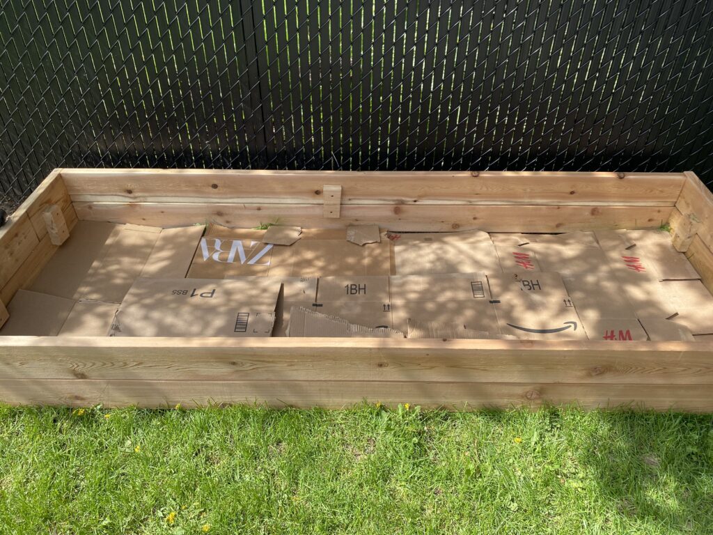 garden bed cardboard